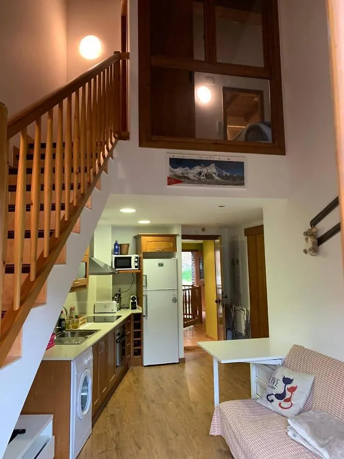 Apartment Apartamentsaloriaburg Farrera Spain